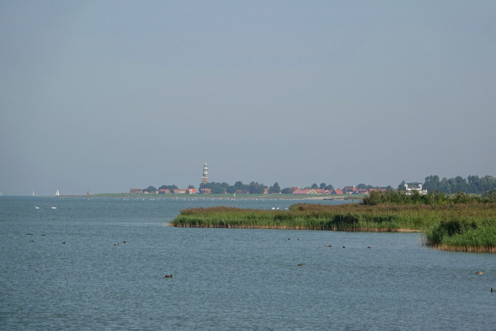 Bocht fan Molkwar