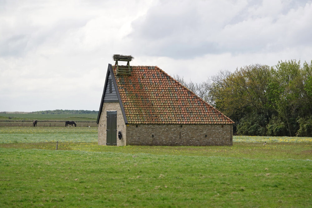 Boet (Texel)