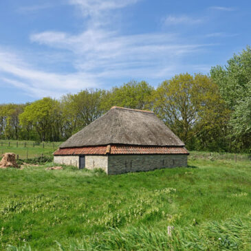 Boet op Texel