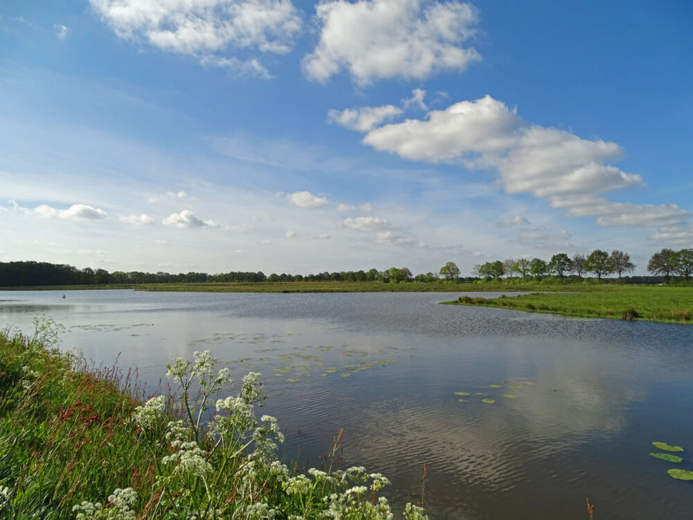 Bongeveen