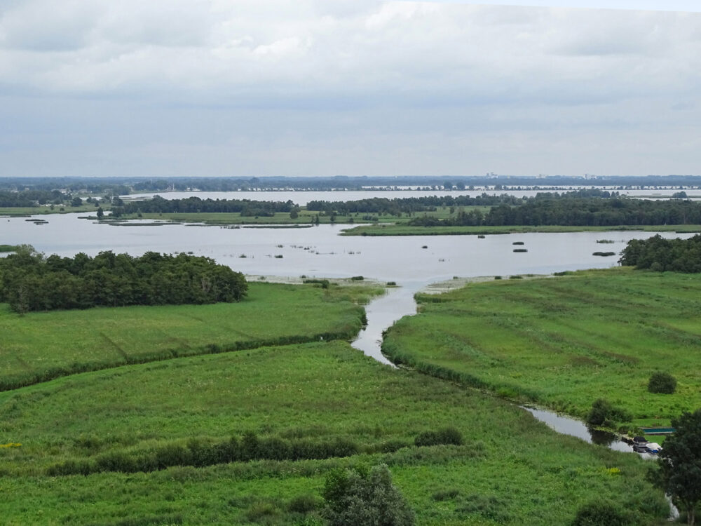 Boschwijde (De Wieden)