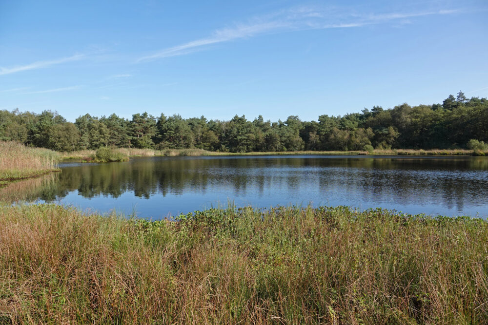 Bosveen (Holtingerveld)