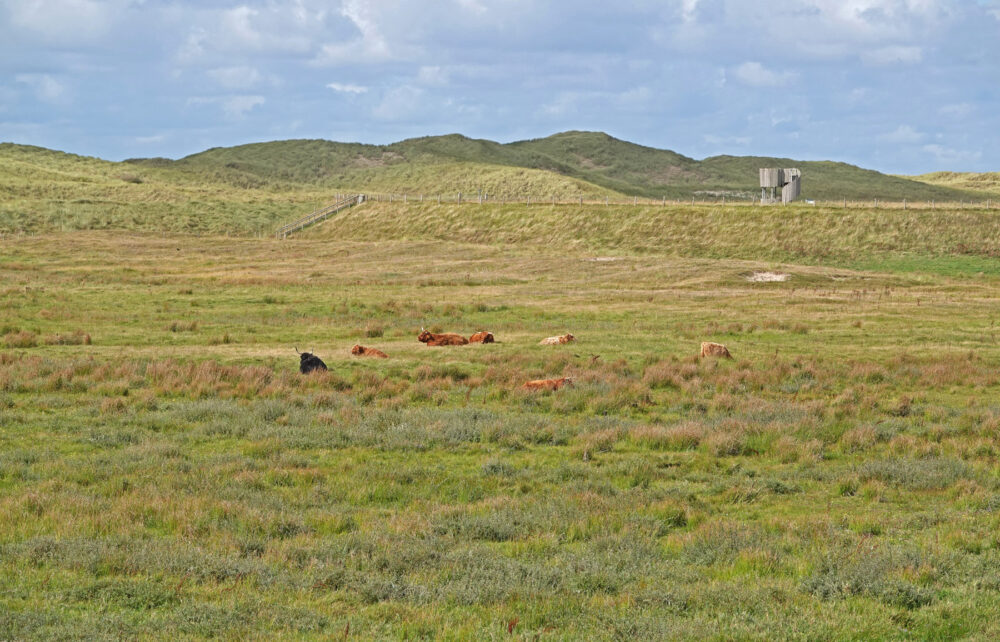 Botgat (Noordduinen)