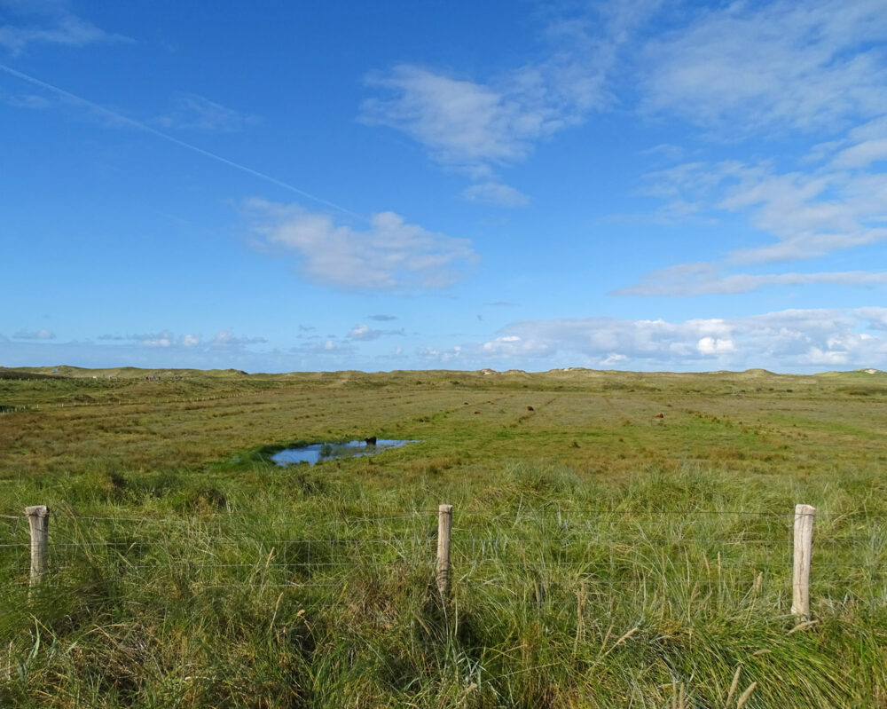 Botgat (Noordduinen)
