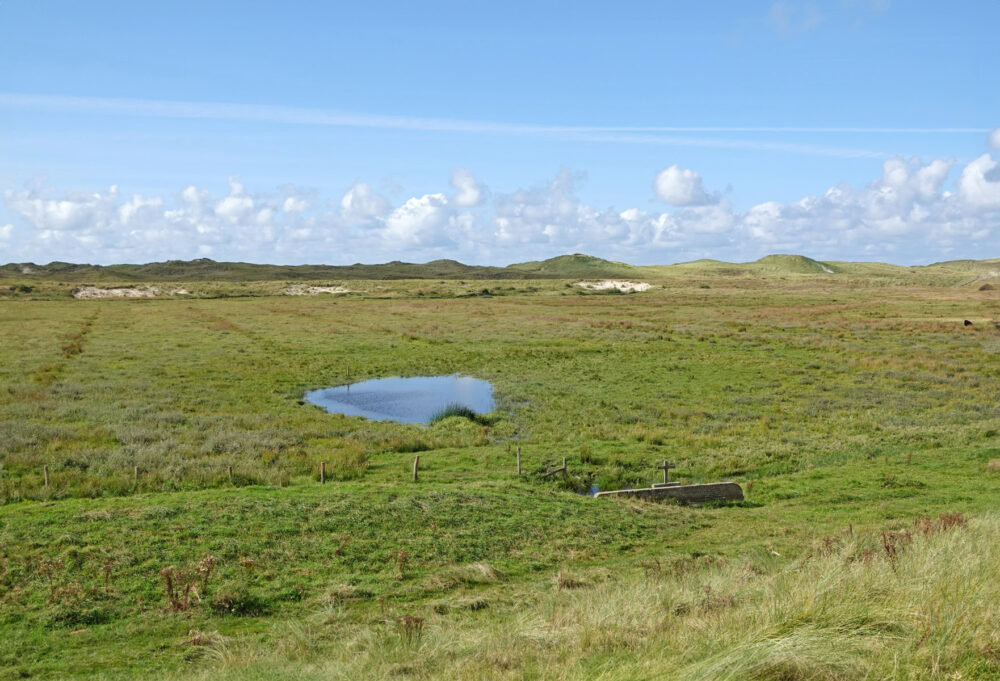 Botgat (Noordduinen)