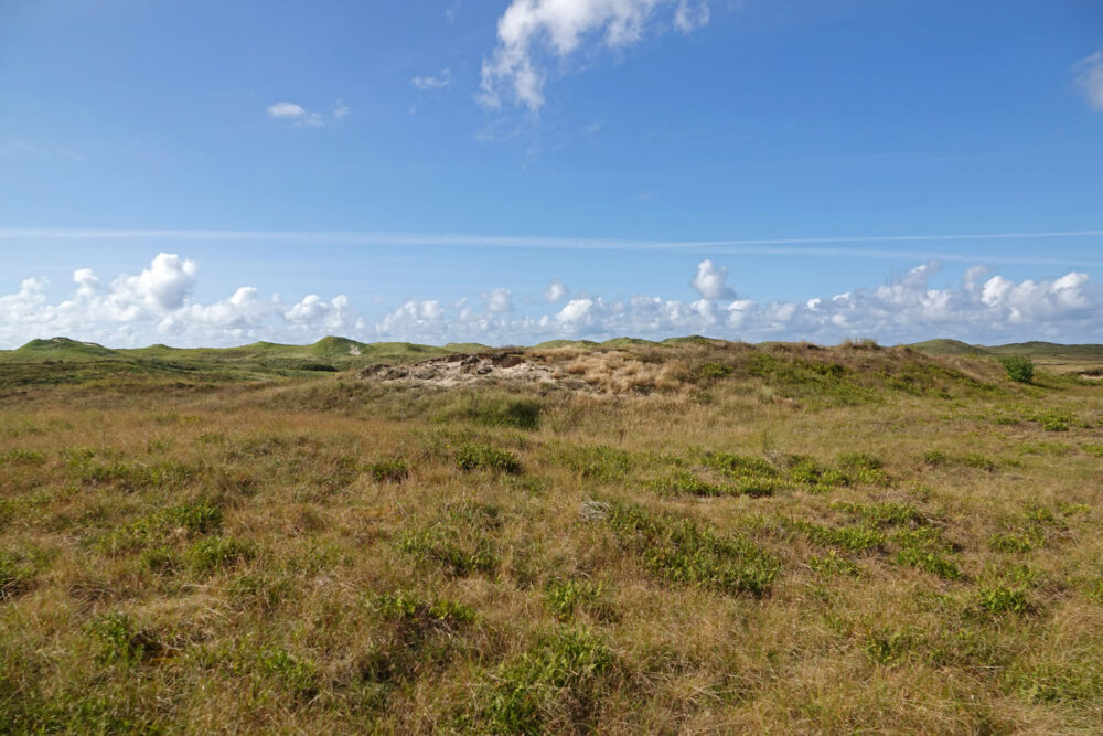 Botgat (Noordduinen)