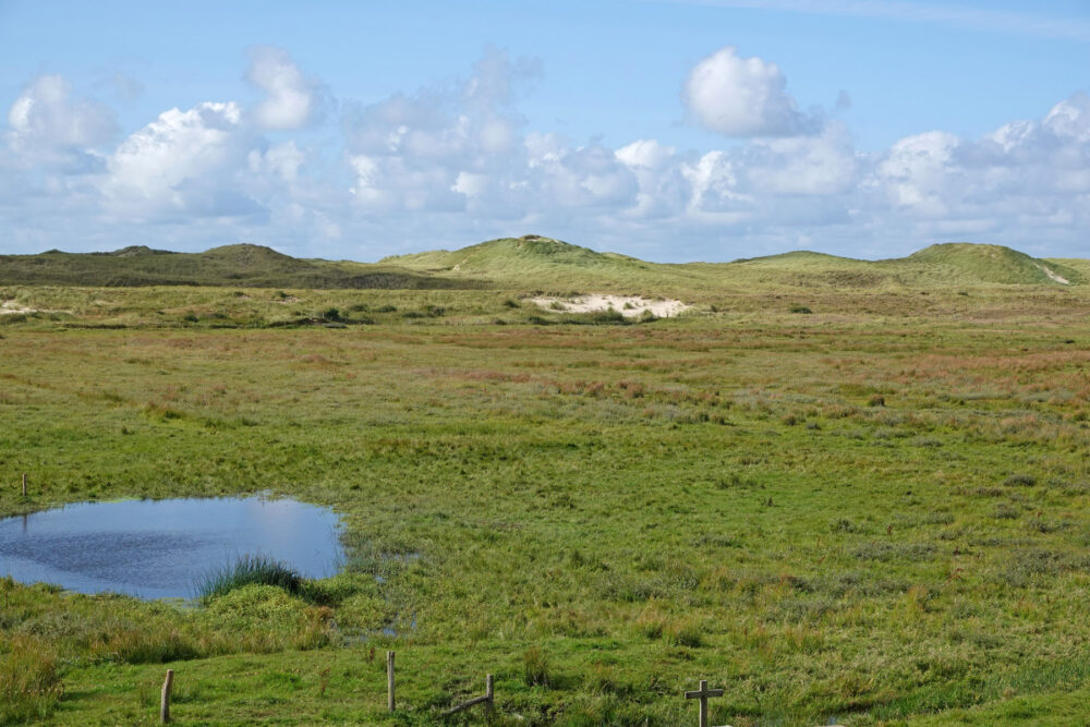 Botgat (Noordduinen)