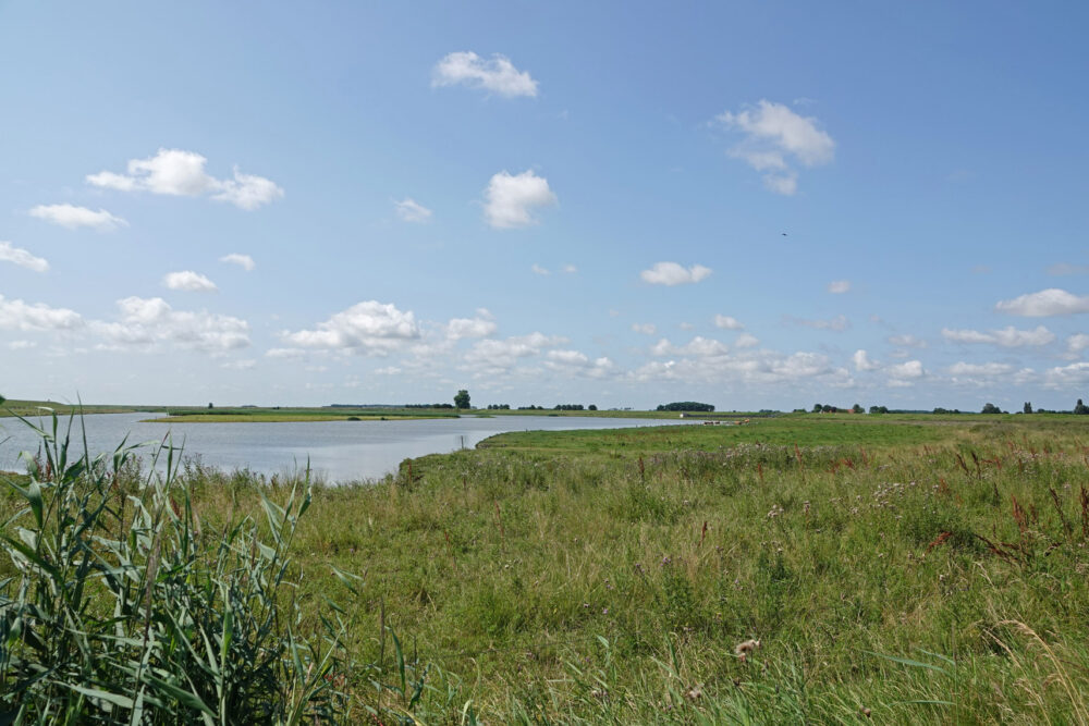 Breebaartpolder in de zomer