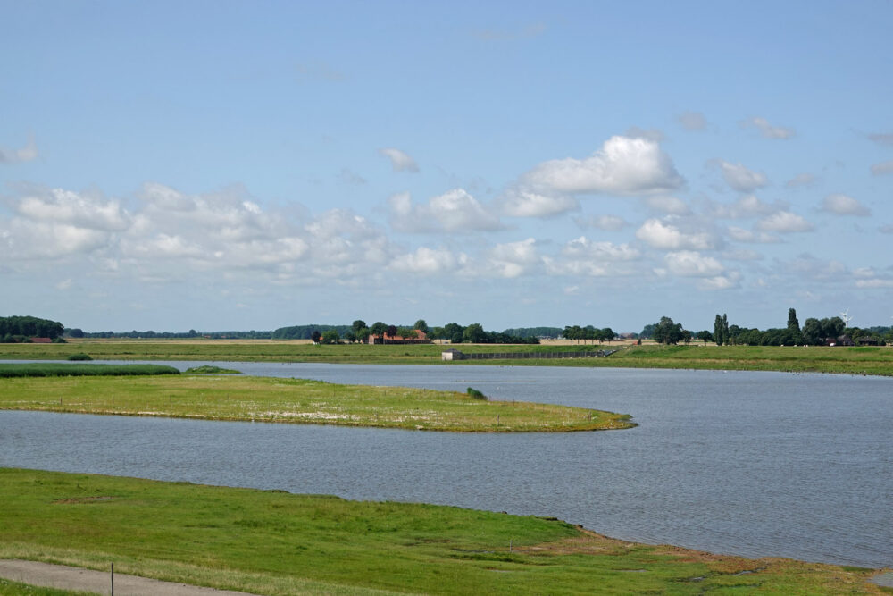 Breebaartpolder in de zomer