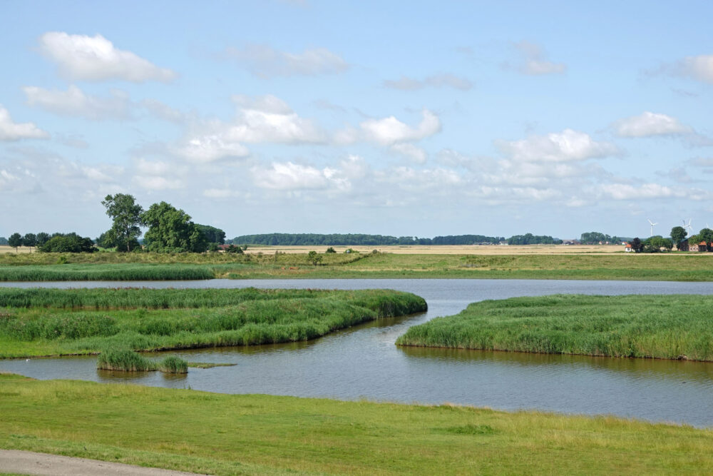 Breebaartpolder in de zomer