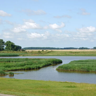 Polder Brreebaart (Waddenzee)