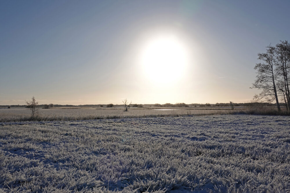 Broekenweering in de sneeuw (Onlanden)
