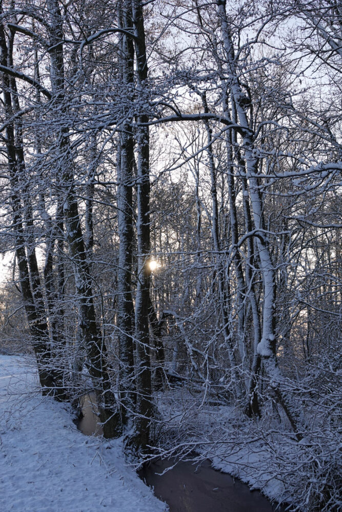 Broekenweering in de sneeuw (Onlanden)