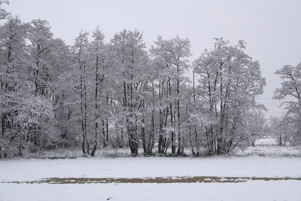 Broekenweering in de sneeuw (Onlanden)