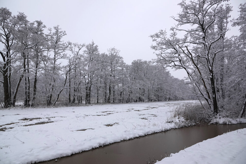 Broekenweering in de sneeuw (Onlanden)