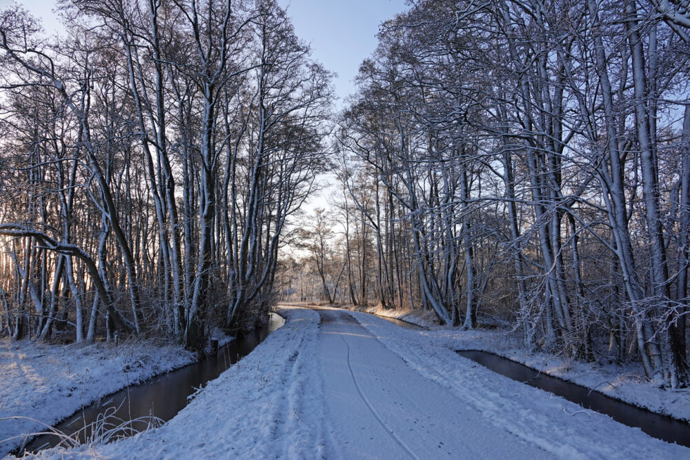 Broekenweering in de sneeuw (Onlanden)