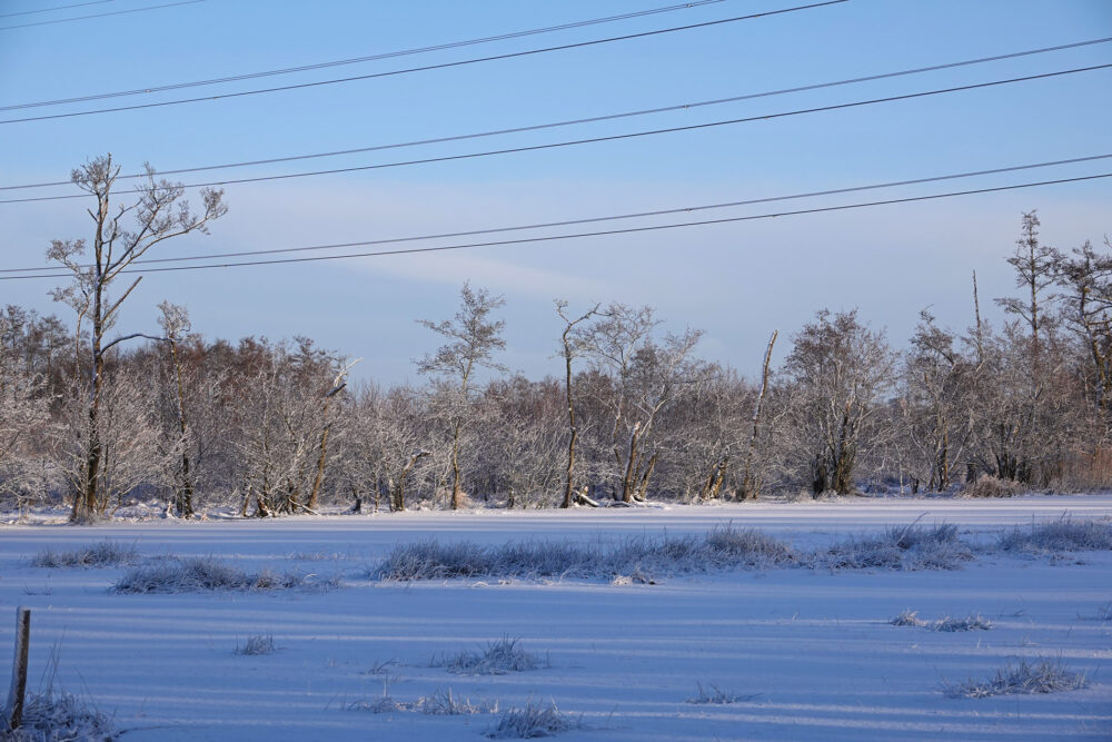 Broekenweering in de sneeuw