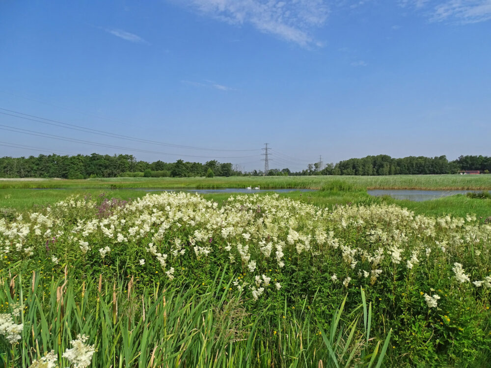 Broekenweering in de zomer