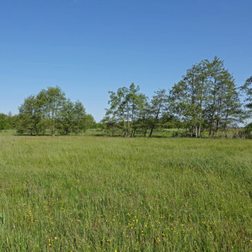 Broekenweering (Onlanden)