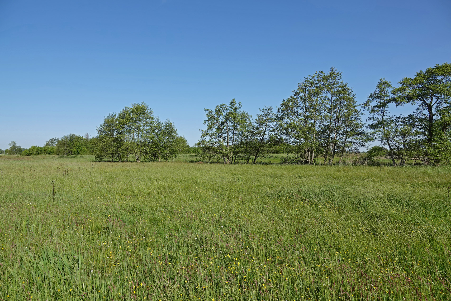Broekenweering (Onlanden)