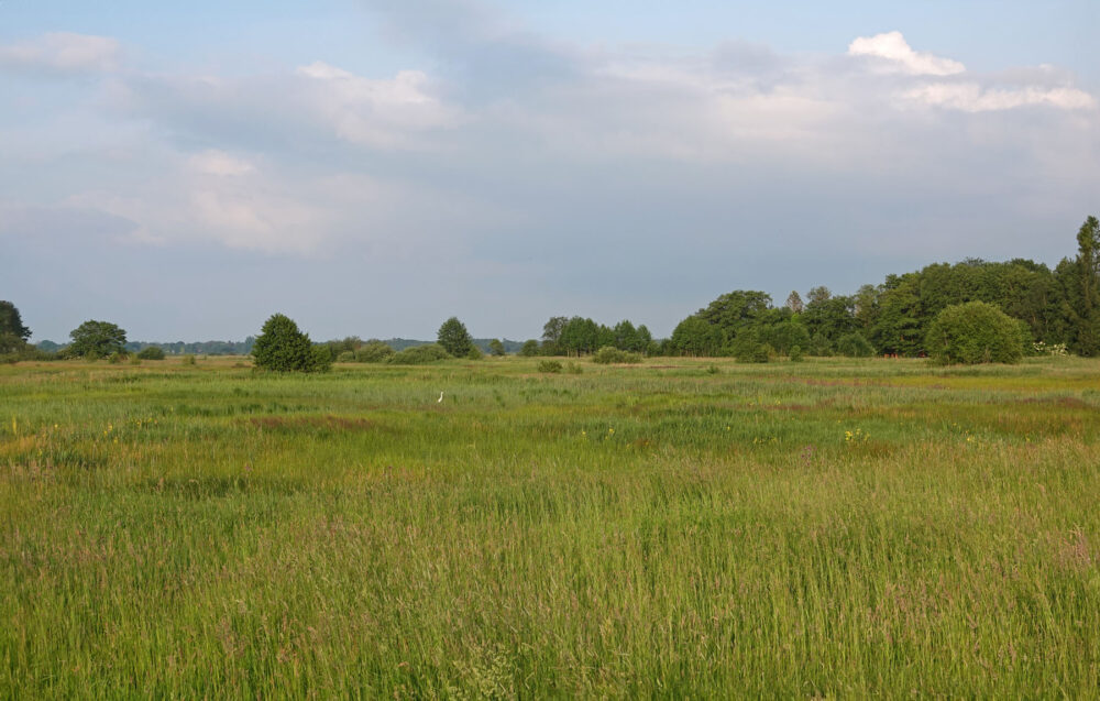 Broekenweering