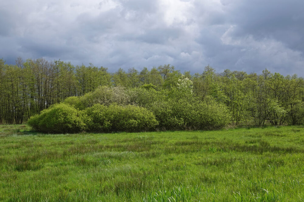 Broekenweering