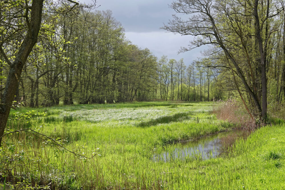 Broekenweering