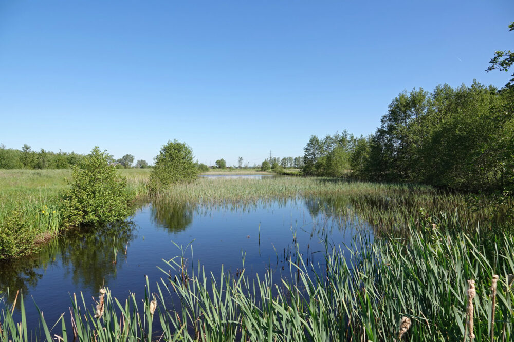 Broekenweering