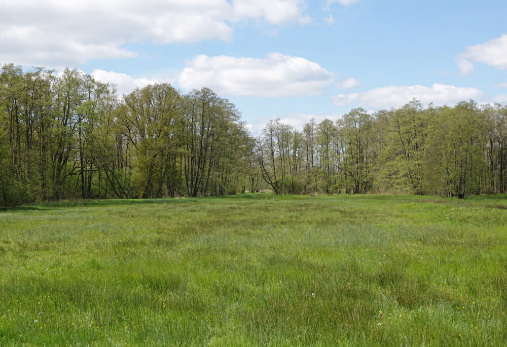 Broekenweering