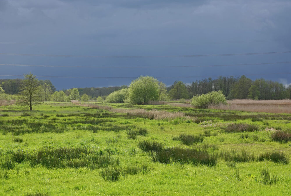 Broekenweering