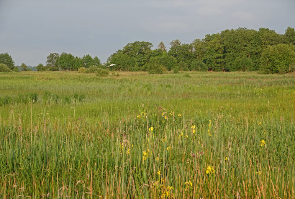 Broekenweering