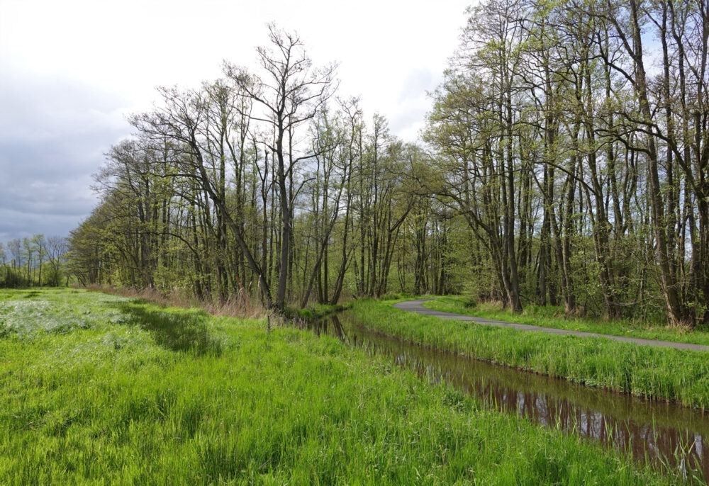 Broekenweering