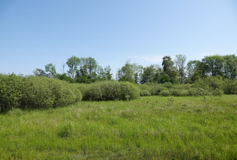 Broekstukken