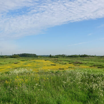 Broekstukken (Onlanden)