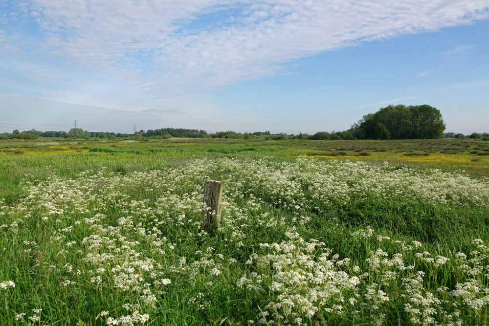 Broekstukken (Onlanden)