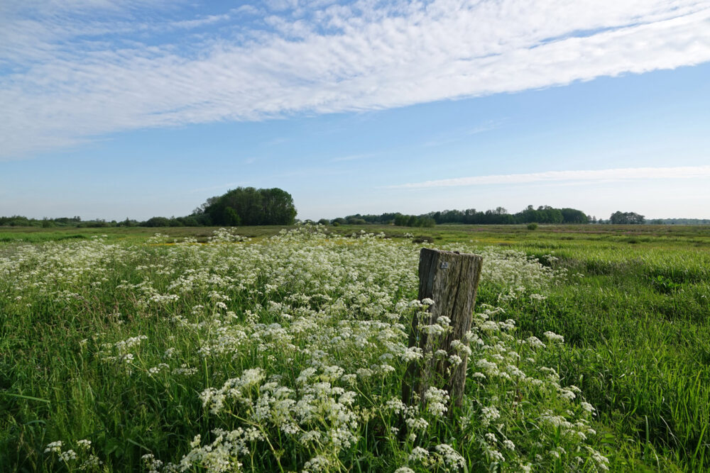 Broekstukken (Onlanden)