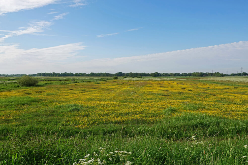 Broekstukken (Onlanden)