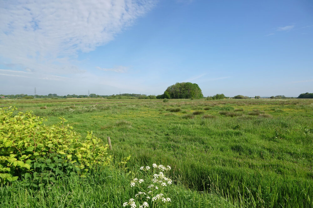 Broekstukken (Onlanden)