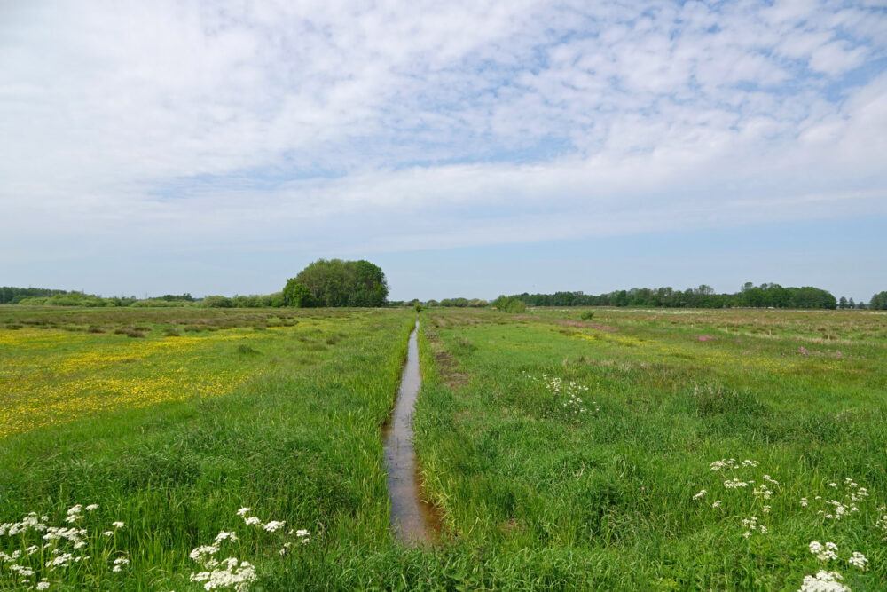 Broekstukken (Onlanden)