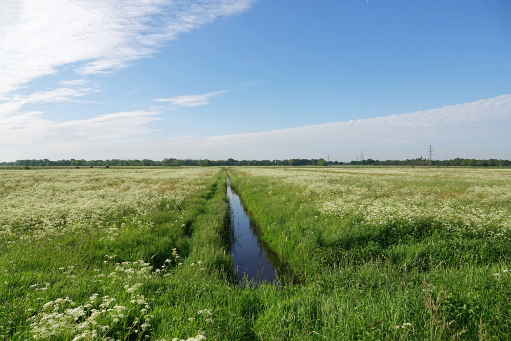 Broekstukken(Onlanden)