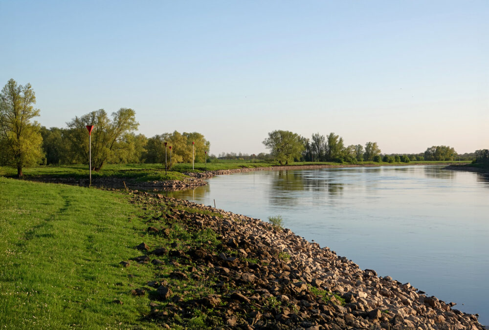 Bronkhorsterwaarden