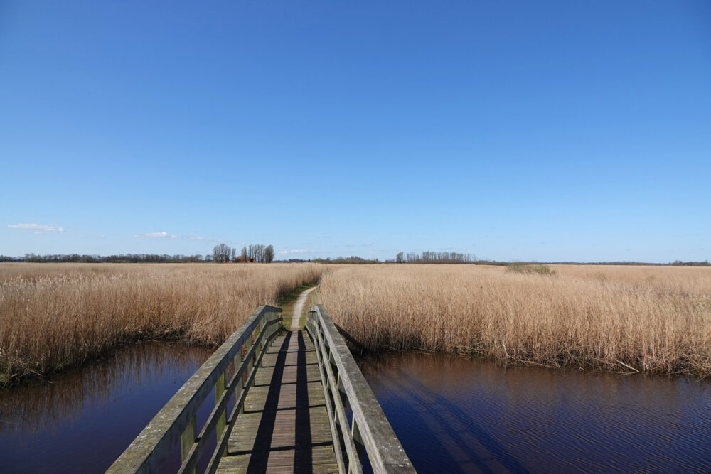 Brug over Zuidslenk in Matslootgebied (Onlanden)