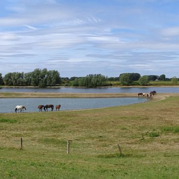 Buitenwaarden Wijhe (IJsselvallei)