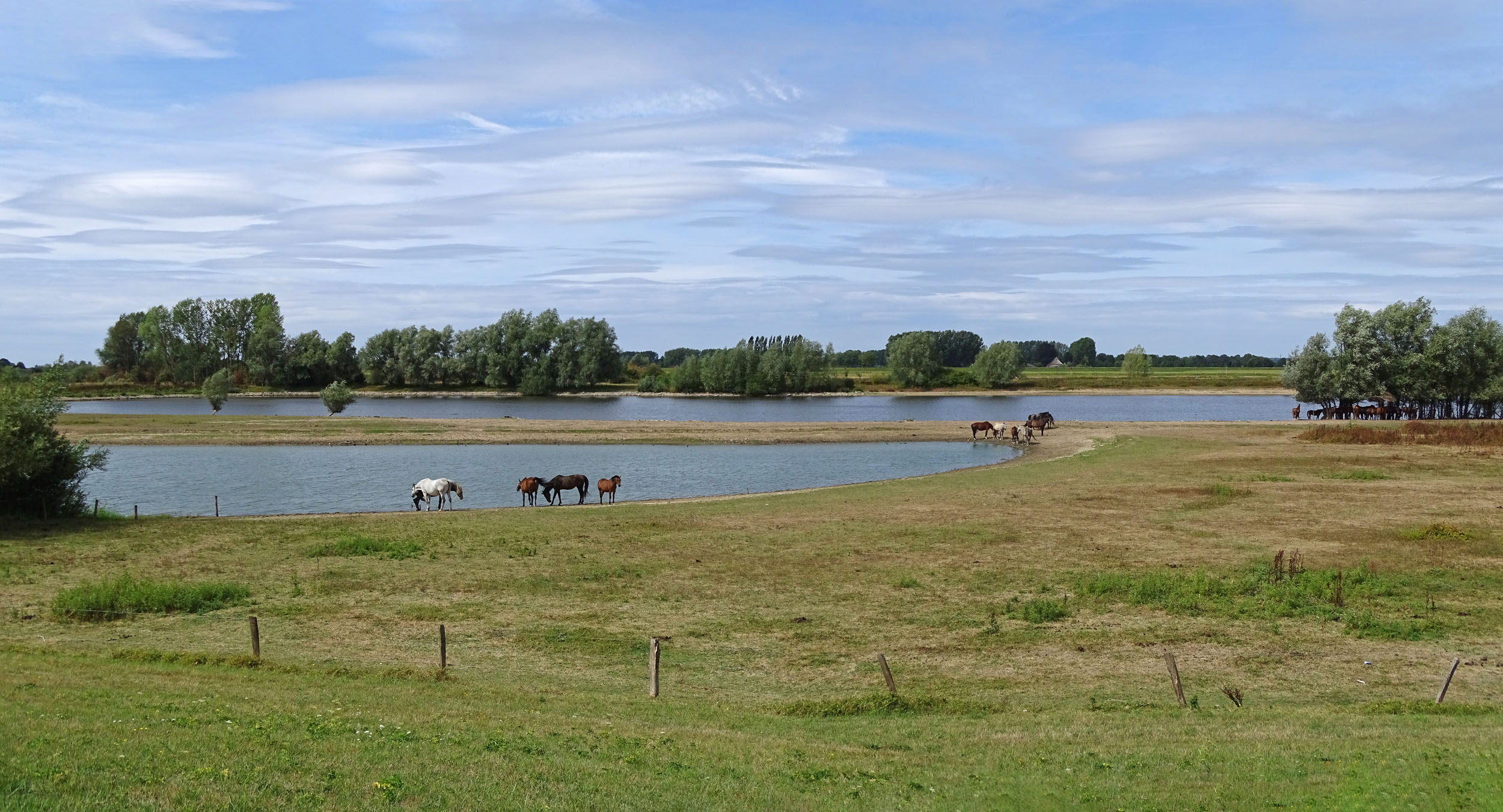 Buitenwaarden Wijhe (IJsselvallei)