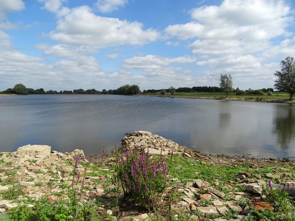 Buitenwaarden (Wijhe)