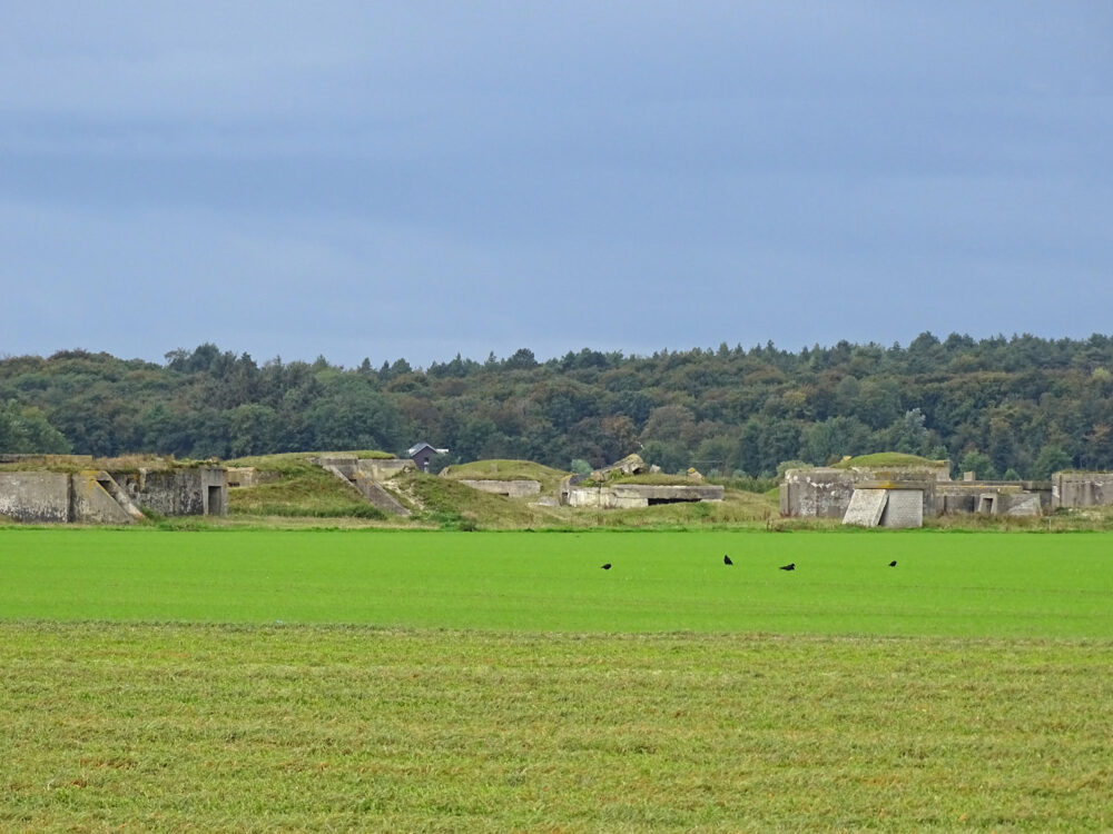 Bunkers in polder Bergen