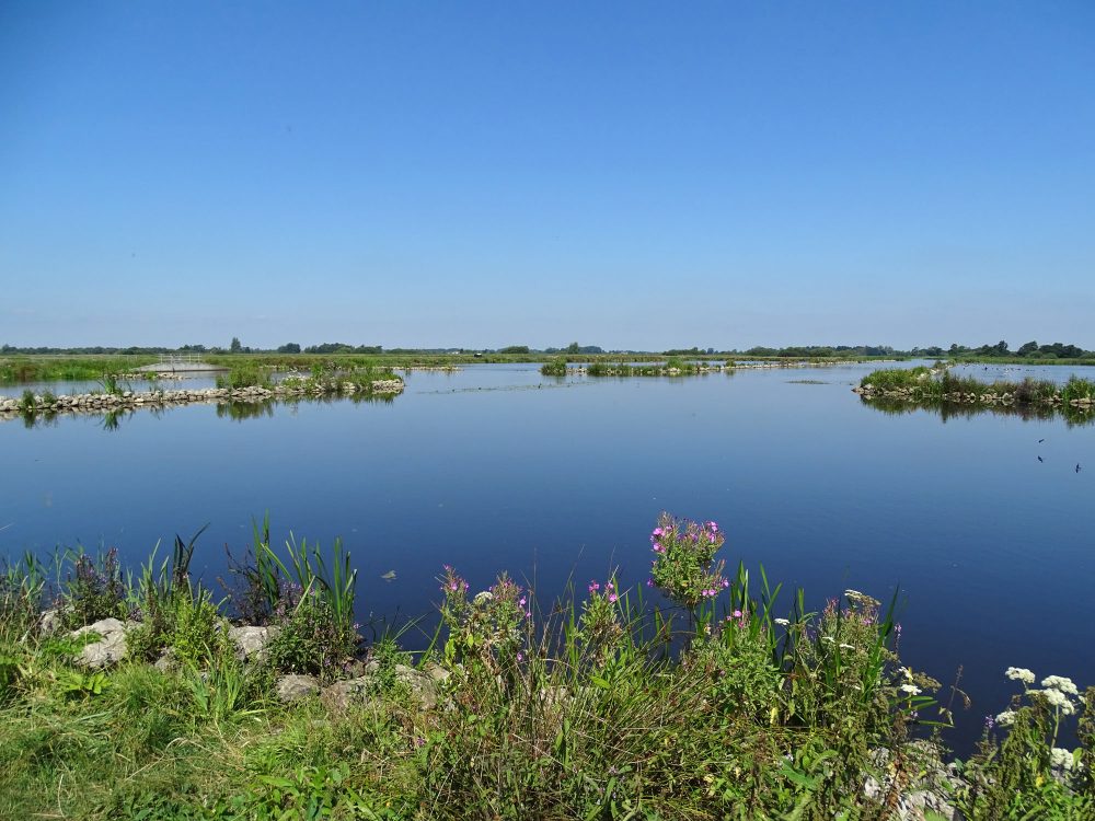 Butendiken (Smalle Ee)