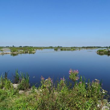 Butendiken Smalle Ee (Friesland)