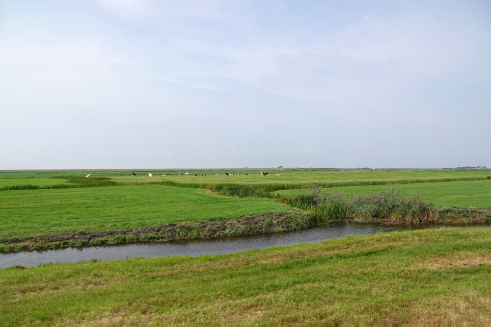 Camperduin (Vereenigde Harger- en Pettemerpolder)