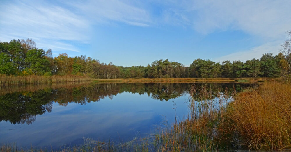 Catspoele (Delleboersterheide)